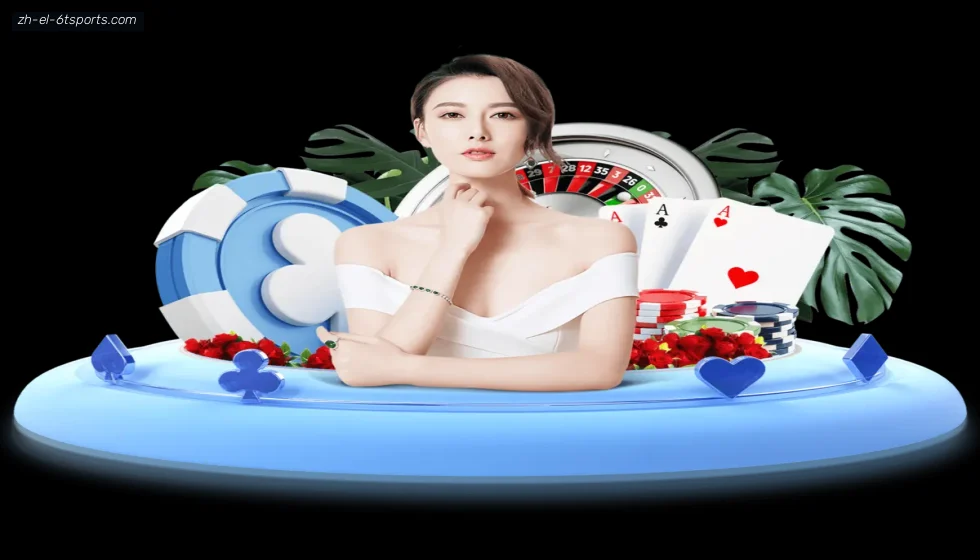 6T体育 banner