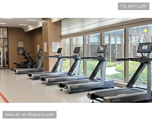 高性价比网购攻略：如何在线淘到专业级健身器械